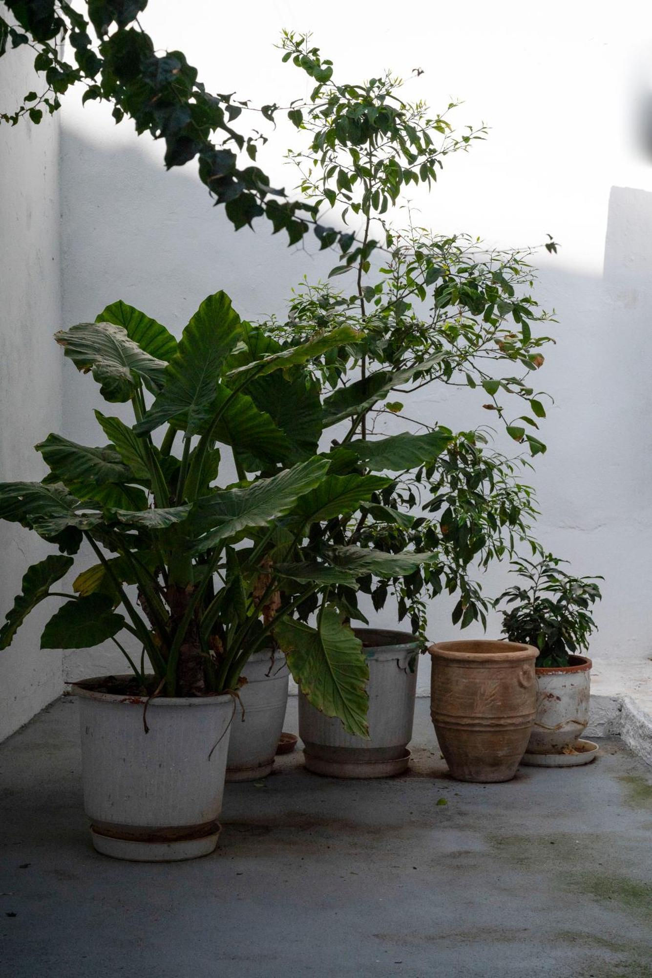 Thissio Getaway 2Ba Next To Athens Ancient Market Extérieur photo